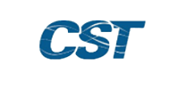 Печатающие головки CST